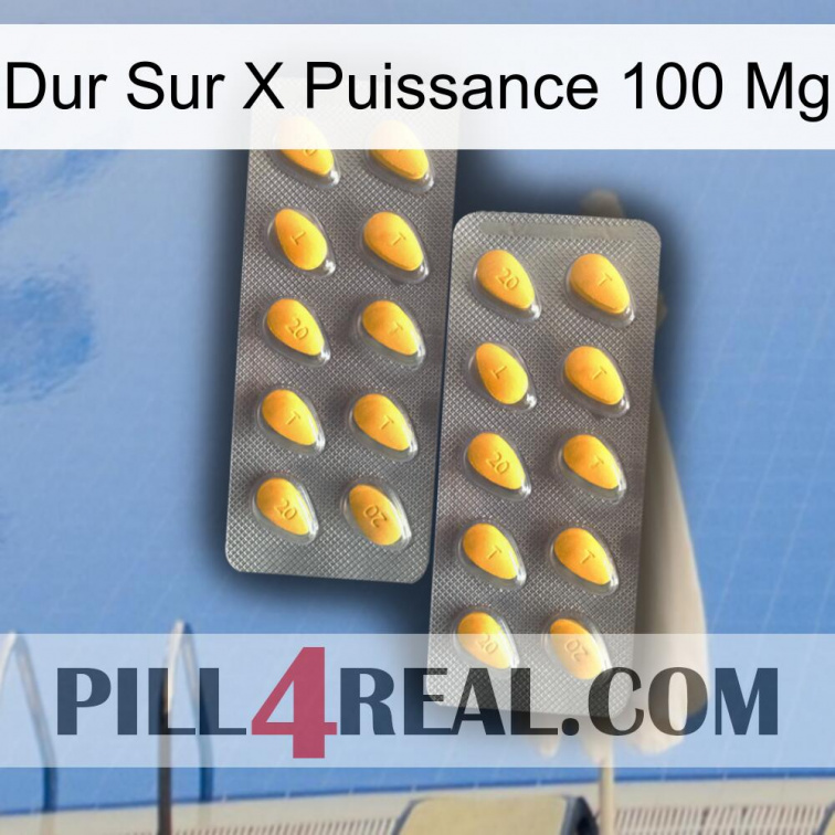 Hard On X Power 100 Mg cialis2